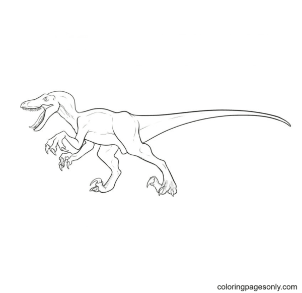 Dibujos De Jurassic World Para Colorear Y Pintar Imágenes Para Dibujar Gratis 0776